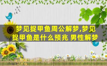 梦见捉甲鱼周公解梦,梦见捉甲鱼是什么预兆 男性解梦